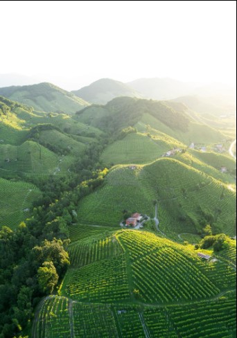 Colline del Prosecco